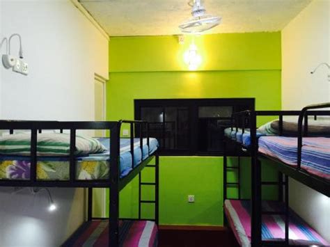 hostel colombo|colombo downtown monkey backpackers hostel.